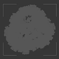 Tall Deciduous Tree with Lush Green Leaves and Silhouette Figure for Size Comparison