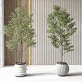 Two Bonsai Plants in White Ribbed Pots Against Wooden and Striped Wall with Natural Light