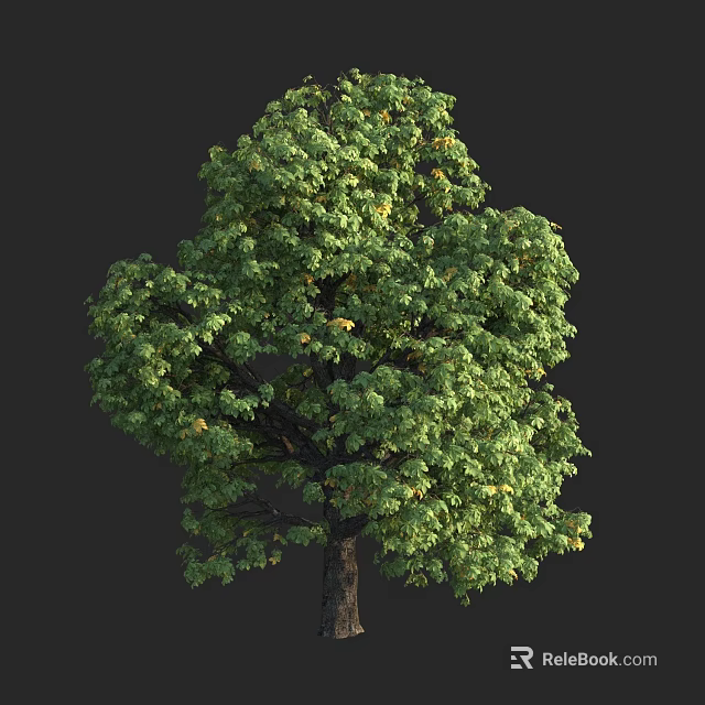 Lush Green Tree With Dense Foliage And Strong Brown Trunk 3d model 