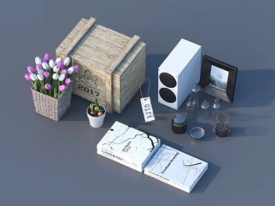 Daily Living Items With Wooden Crate Tulips Potted Plant Speaker Photo Frame Glass Cups Book 3d model