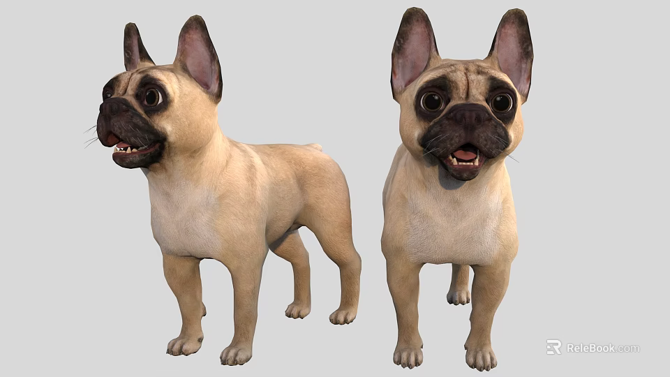 Light Brown French Bulldogs 3D Models With Front And Side Views 3d model 