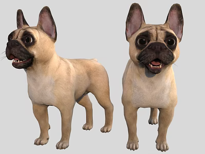 Light Brown French Bulldogs 3D Models With Front And Side Views 3d model