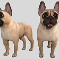 Light Brown French Bulldogs 3D Models With Front And Side Views