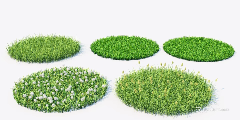 Different Circular Grass Patches With Various Green Turf And White Flowers 3d model 