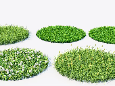 Different Circular Grass Patches With Various Green Turf And White Flowers 3d model