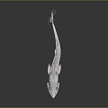 Modern shovel sturgeon skeletal fish skeletal fish freshwater fish 3d model