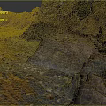 Natural Garden Landscape With Layered Rock Formations Green Moss And Colorful Vegetation