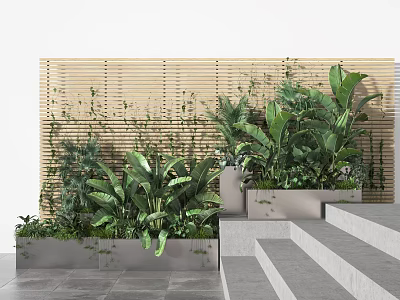 Lush Green Plants in Potted Planters with Wooden Slat Screen and Stone Steps 3d model