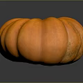 Fresh Healthy Ripe Orange Pumpkin Single Whole Vegetable on Dark Background