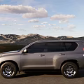 Silver SUV Parked On Roadside With Green Trees And Street Lamp Background