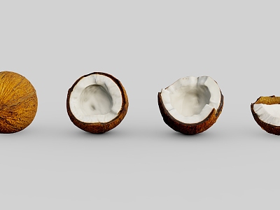 Coconut Scan Coconut Cartoon Coconut Cartoon Fruit Tropical Fruit 3d model