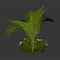 Green Leafy Decorative Potted Plants With Floral Accents And Stylish Planters