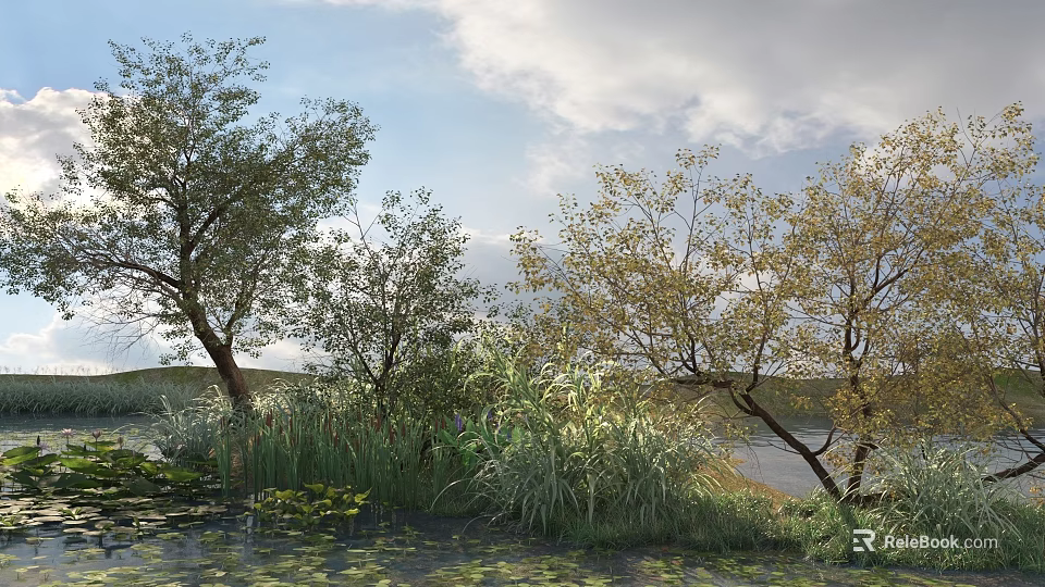 Tall Trees In Lakeside Natural Landscape With Reeds Grass And Cloudy Sky 3d model 