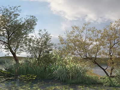 Tall Trees In Lakeside Natural Landscape With Reeds Grass And Cloudy Sky 3d model