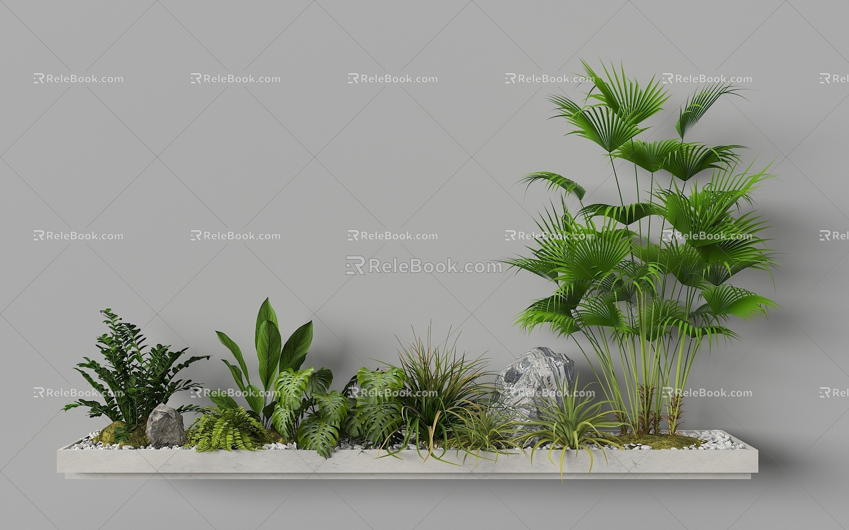 Indoor Landscape Landscape Fern Plant Heap Micro Terrain Tropical Plants 3d model