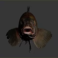Red and Brown Fish With Sharp Fins Red Eyes And Open Mouth On Dark Background