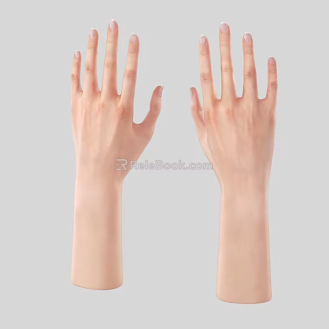 Palm Arm Man Hand Limb Small Hand Finger Woman Hand 3d model