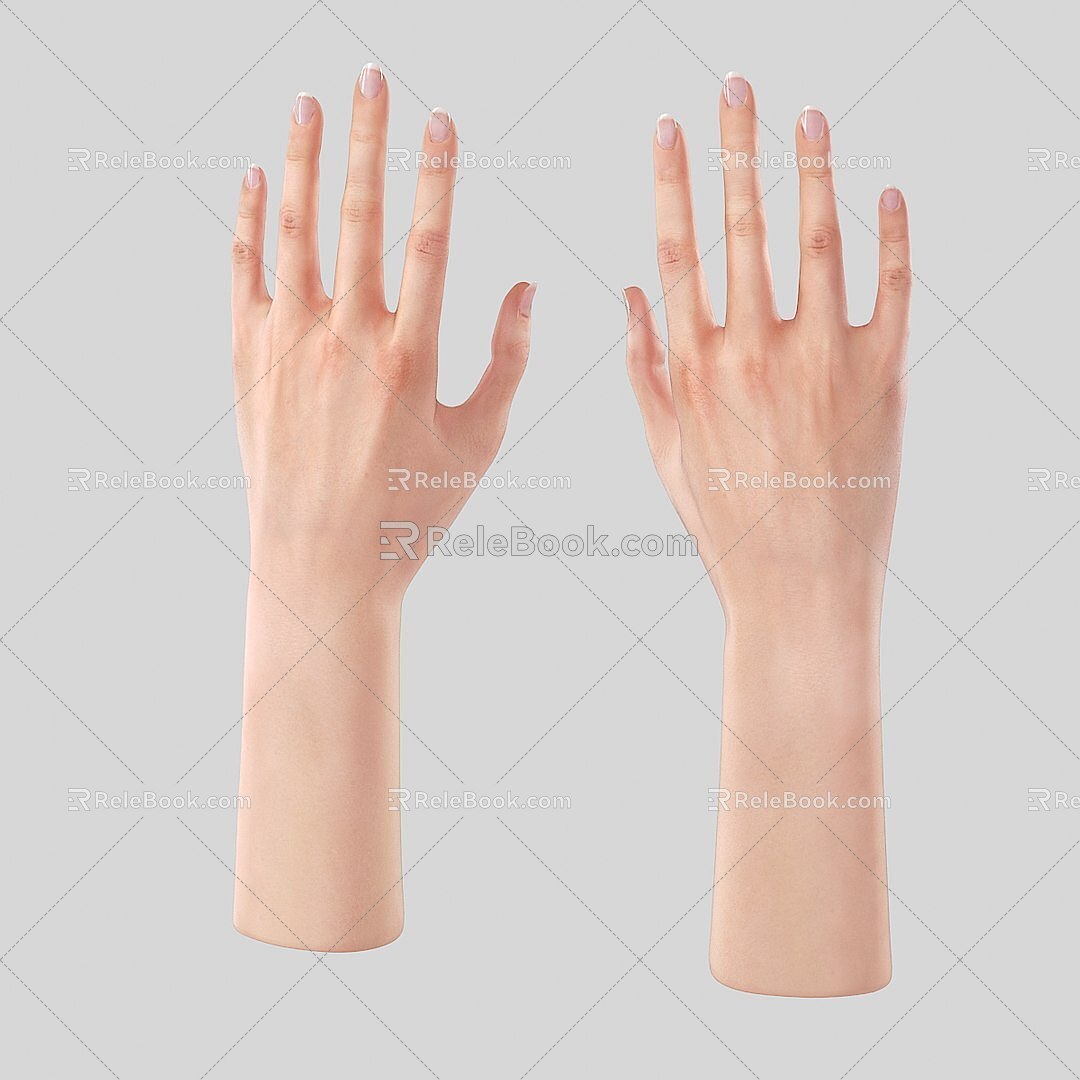 Palm Arm Man Hand Limb Small Hand Finger Woman Hand 3d model