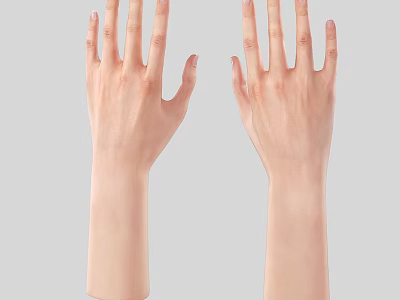 Palm Arm Man Hand Limb Small Hand Finger Woman Hand 3d model