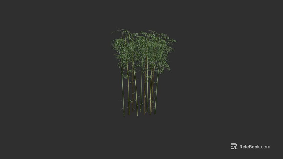 Tall Green Bamboo Stalks In Black Background For Interior Decoration 3d model 