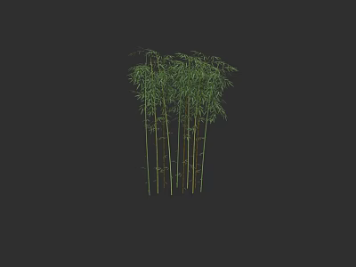 Tall Green Bamboo Stalks In Black Background For Interior Decoration 3d model