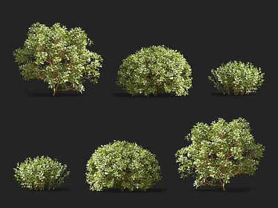 Various Green Shrubs With Lush Foliage In Different Forms For Garden Landscape 3d model