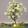 Landscape modeling tree pine tree landscape stone water portland micro terrain landscape tree 3d model