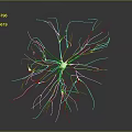 White Neural Network Structure With Radial Dendritic Lines On Black Background 3d model