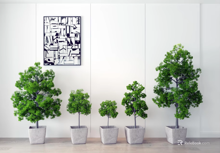 Potted Trees Various Sizes in Gray Pots Against White Wall With Black White Abstract Art 3d model 