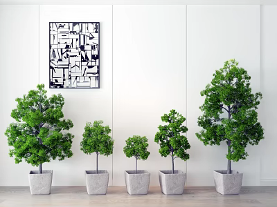 Potted Trees Various Sizes in Gray Pots Against White Wall With Black White Abstract Art 3d model