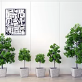 Potted Trees Various Sizes in Gray Pots Against White Wall With Black White Abstract Art