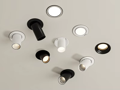 Modern Home Ceiling Downlights and Spotlights With Black White Styles And Various Designs 3d model