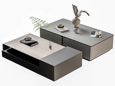 Modern Office Desk With Light Wood Dark Gray Black Surfaces Notebook Potted Plant And Magazine 3d model