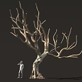 Tall Leafless Tree With Thick Trunk And Standing Figure Against Dark Background