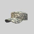 Weapons Patrol Cap 3d model