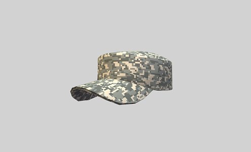 Weapons Patrol Cap 3d model