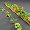 Various Plants Growing in Soil Including Strawberry Corn Wheat Potato Beans Pumpkin and Tomato