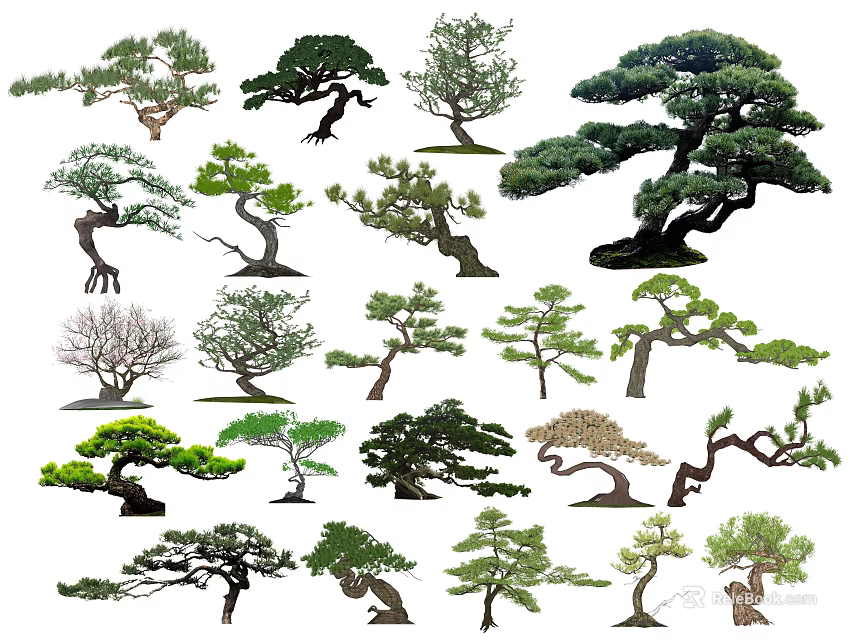 Display of Arbor Trees with Various Natural Shapes Unique Styles and Green Foliage 3d model 