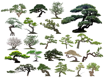 Display of Arbor Trees with Various Natural Shapes Unique Styles and Green Foliage 3d model