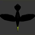 Toucan With Colorful Yellow Green Red Beak And Black Feathers Spreading Wings