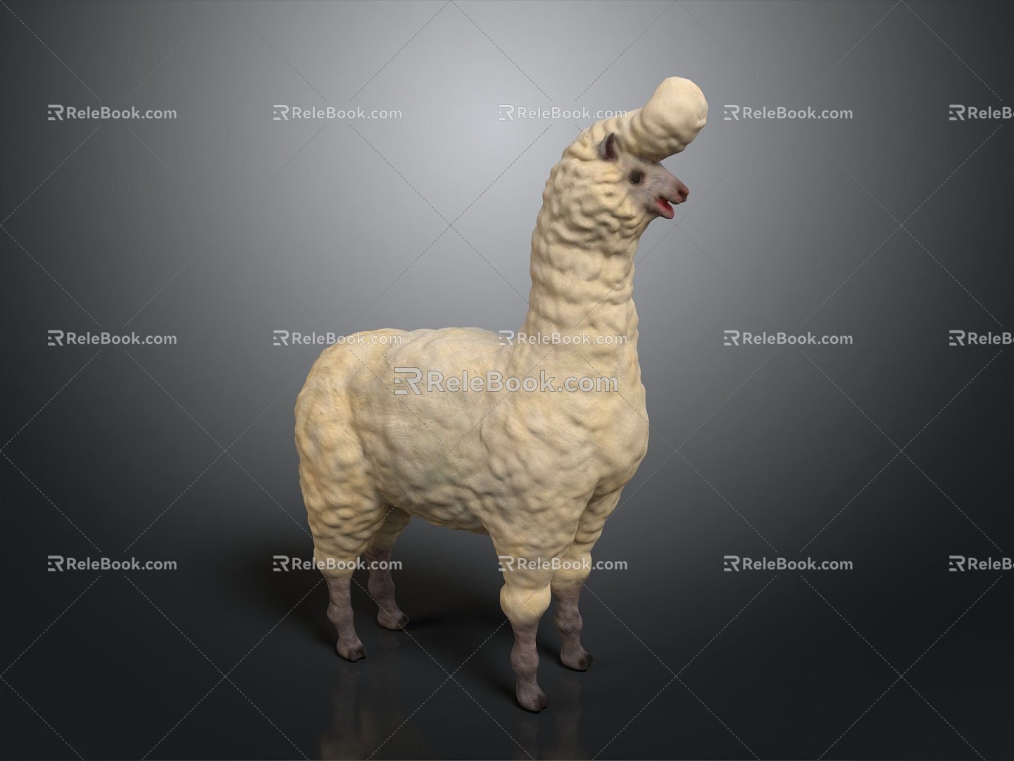 alpaca wool llama alpaca alpaca camel sheep humpless moose animal 3d model