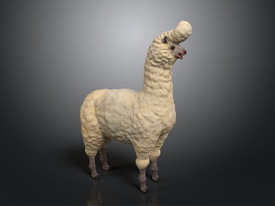 alpaca wool llama alpaca camel sheep humpless moose animal 3d model