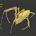 Yellow Black and Red Spider with Black and Yellow Banded Legs and Vibrant Colored Body