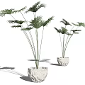 Bonsai Potted Plants with Lush Green Palm Leaves in Natural Stone Pots for Indoor Decor