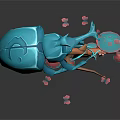 Man Holding Black Object With Blue Beetle And Pink Blue Decorations On Dark Background