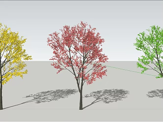 Modern Tree Landscape Tree Landscape Tree Country City Courtyard 3d model