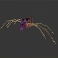 Mysterious Spider Creature Featuring Black Purple Body And Long Legs With Yellow Tips