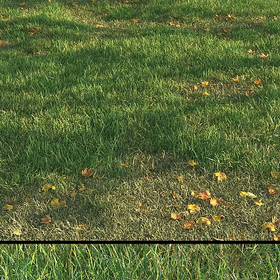 Grass 1 3d model Grass 1 3d model