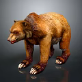 Realistic Brown Bear 3D Model With Brown Fur Sharp Claws And Open Mouth