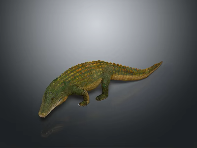 Realistic Green And Yellow Crocodile 3D Model With Detailed Texture On Dark Background 3d model
